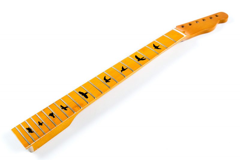 MASTIL TELECASTER DE ARCE 22 TRASTES AVES VINTAGE TINT GLOSS