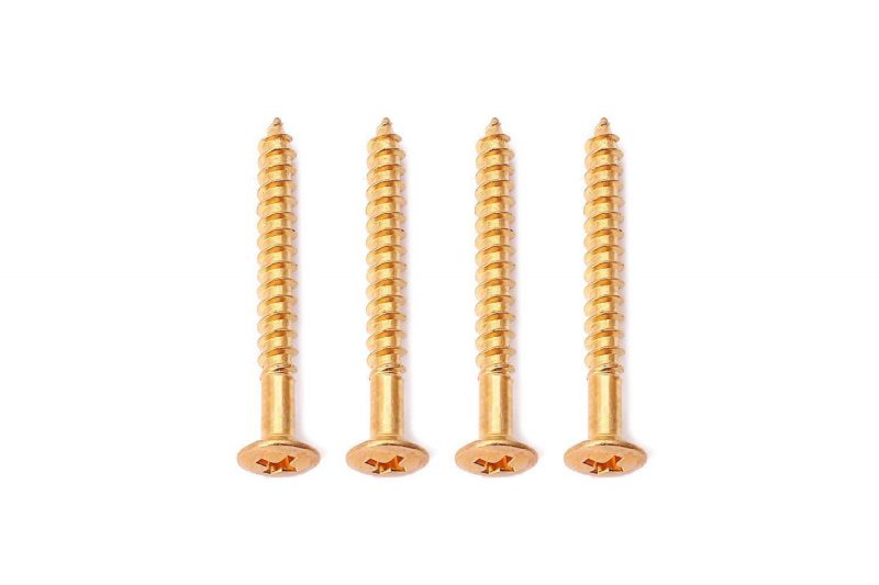 GOLD SCREWS FOR NECK JOINT