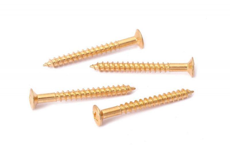 GOLD SCREWS FOR NECK JOINT